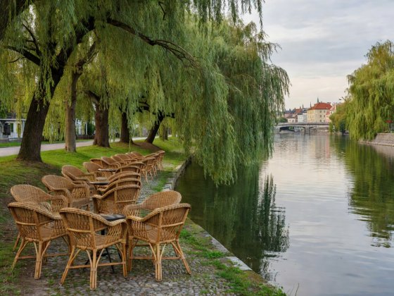 Wicker café chairs aligned along a tranquil willow-lined riverbank in Ljubljana